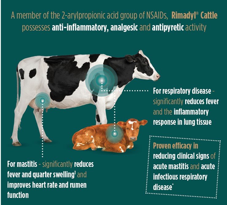 Rimadyl Cattle - Zero Milk Withdrawal NSAID - Farmacy