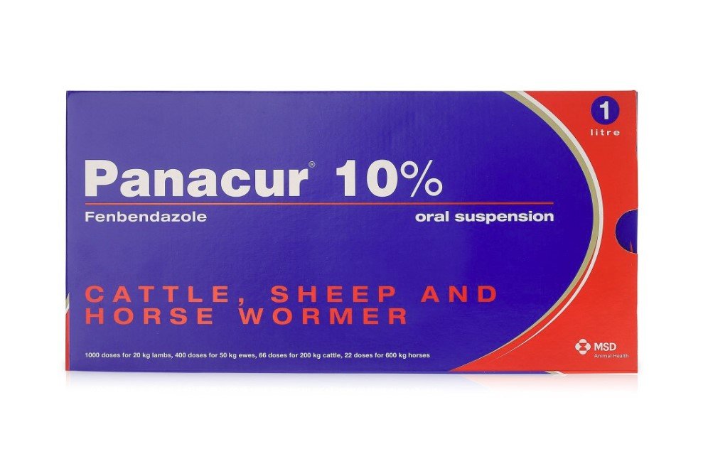 MSD Panacur 10% Oral Suspension - Farmacy