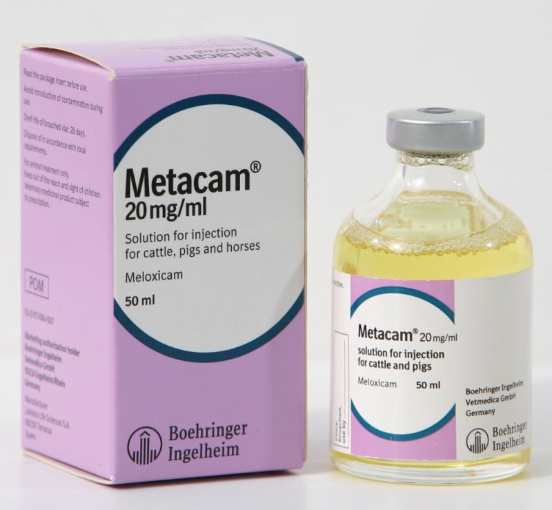 Boehringer Ingelheim Metacam 20mg ml Injection Farmacy