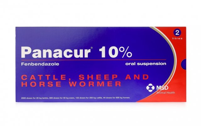 MSD Panacur 10% Oral Suspension - Farmacy