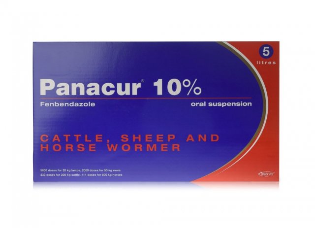 MSD Panacur 10% Oral Suspension - Farmacy