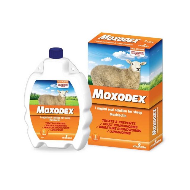 Moxodex 1 mg/ml Oral Solution